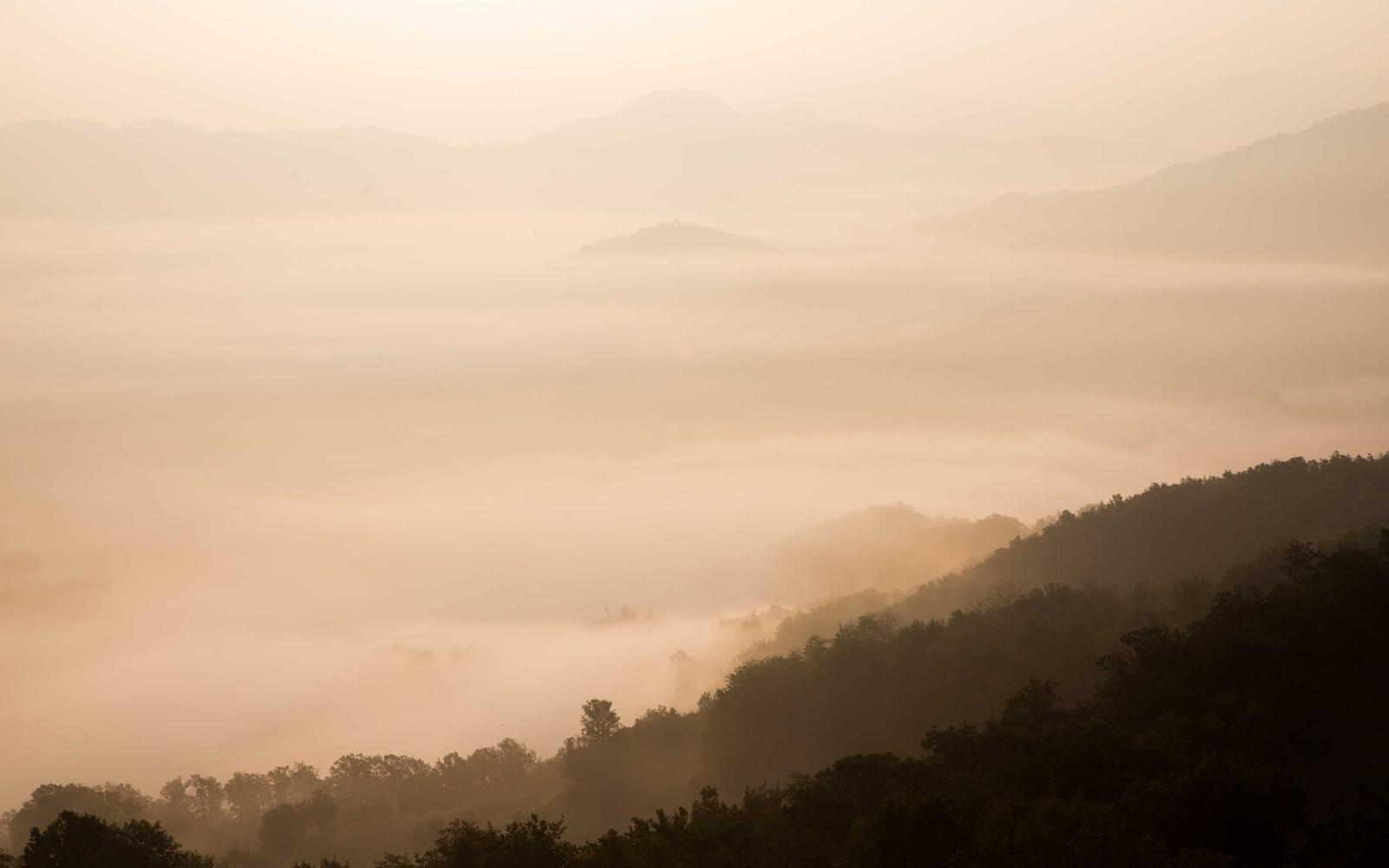 Collines dans la brume matinale
